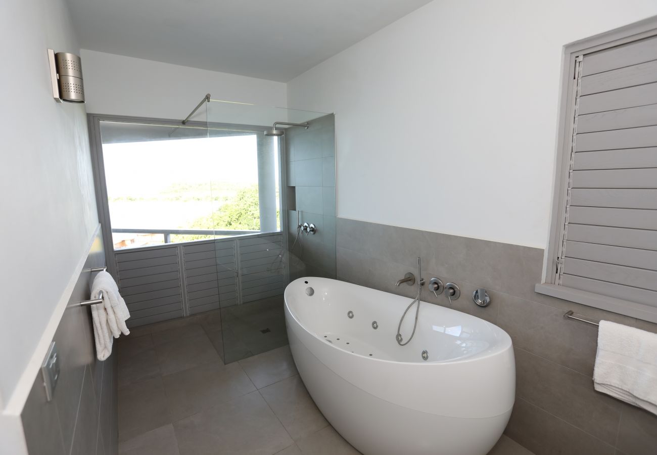 Spacious bathroom, large walk in shower with floating tub, Antigua 