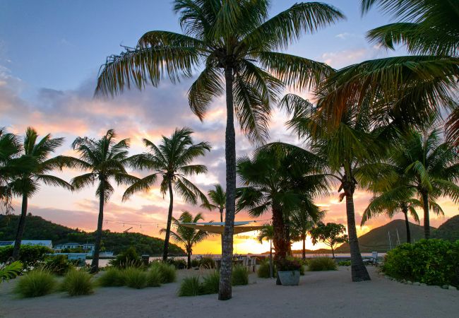 Villa in Jolly Harbour - VIP Palm Point Beach House Villa in Jolly Harbour - VIP Palm Point Beach House