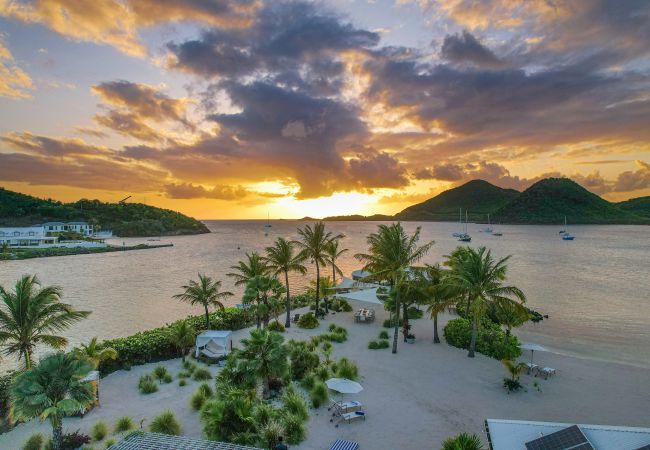 Villa in Jolly Harbour - VIP Palm Point Beach House Villa in Jolly Harbour - VIP Palm Point Beach House