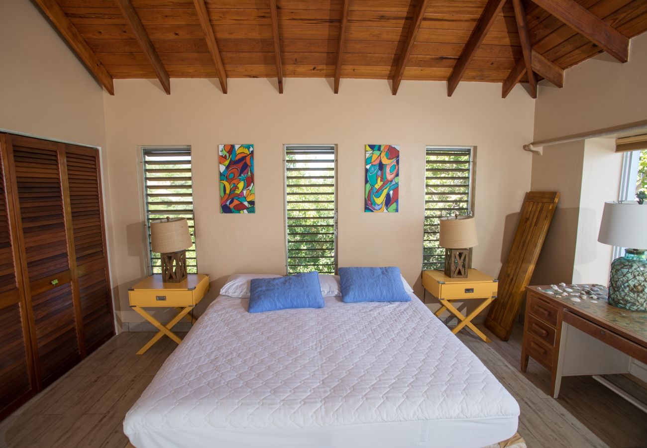 Villa in Freetown - Charming Caribbean villa over looking Half Moon Bay Beach