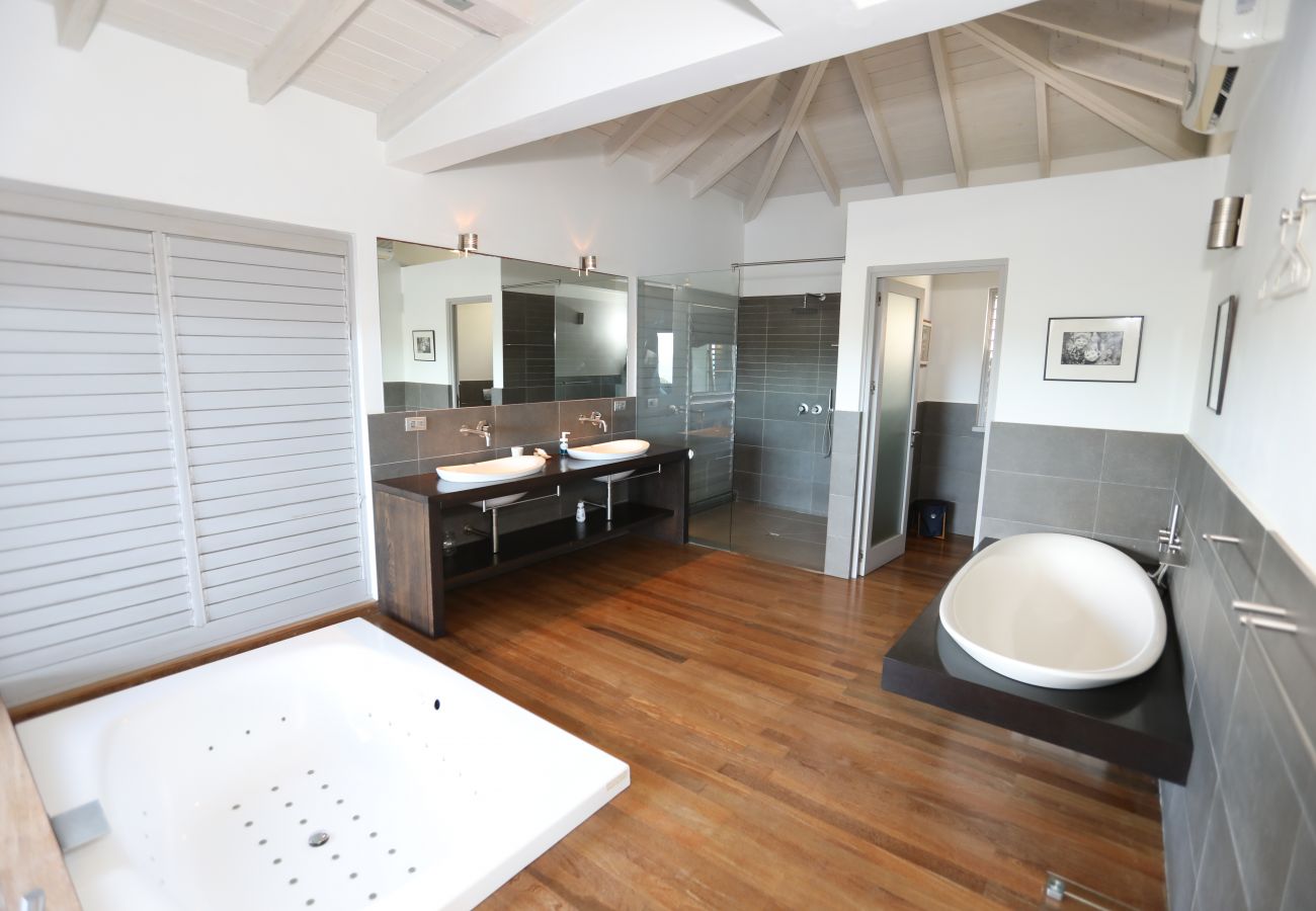 Spacious bathroom, floating tub, double sinks, walk in shower, large deck, infinity pool 