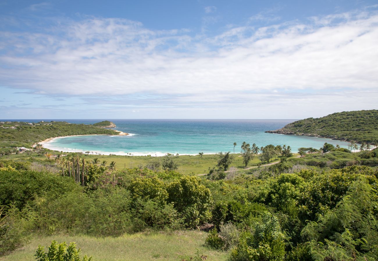 Villa in Freetown - Charming Caribbean villa over looking Half Moon Bay Beach