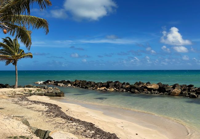 Studio in Crosbies - Cozy Island Hideaway Studio in Crosbies - Cozy Island Hideaway