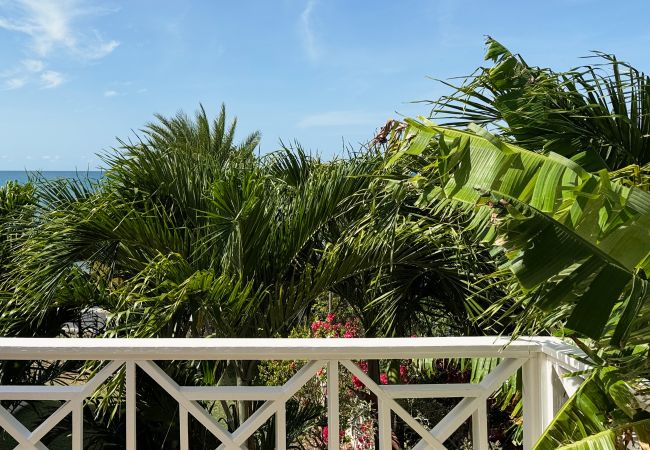 Studio in Crosbies - Cozy Island Hideaway Studio in Crosbies - Cozy Island Hideaway